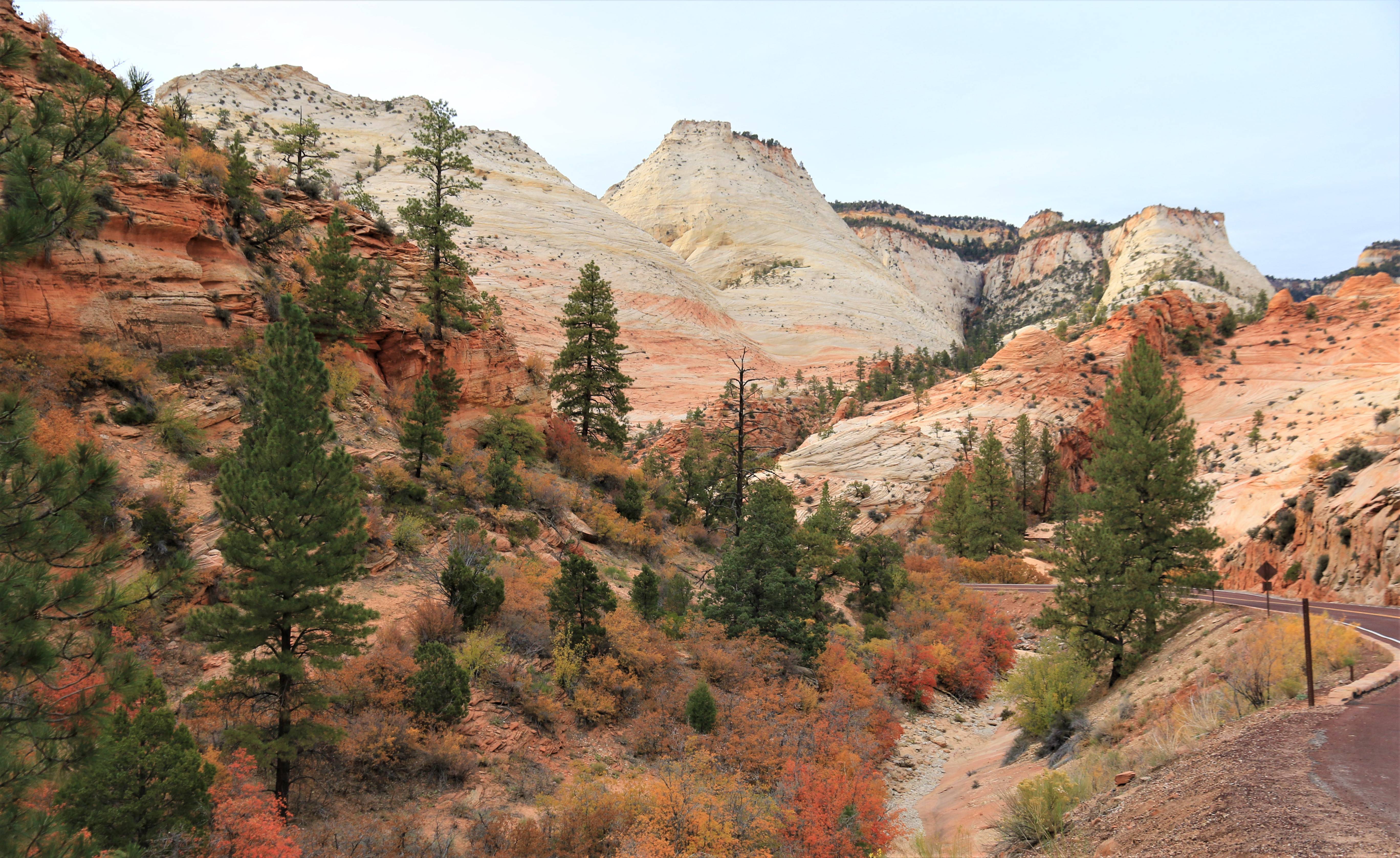 Zion NP